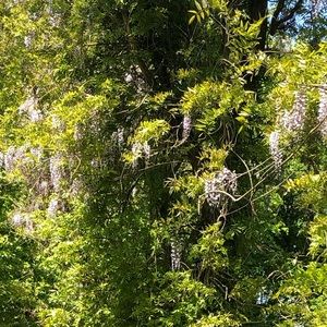 Meet your Posher, Nina